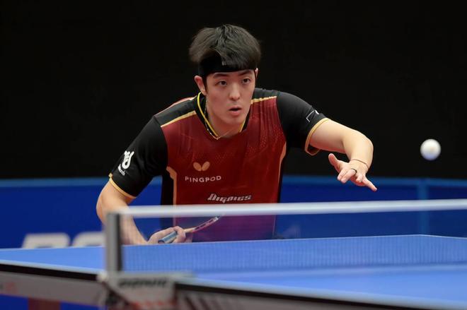 成了鲜明的 成了鲜明的